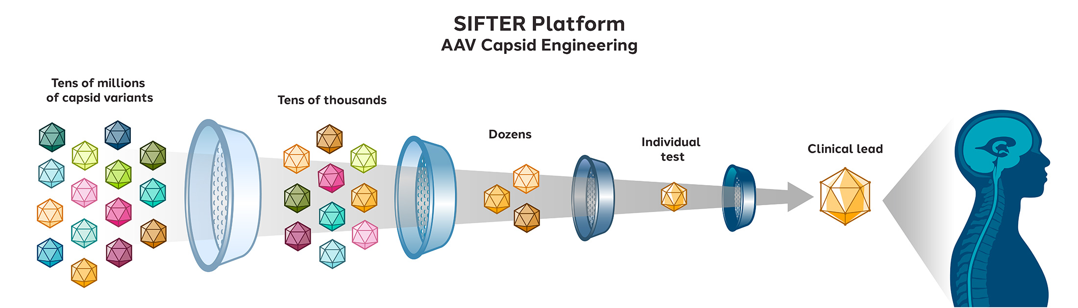 SIFTER Platform